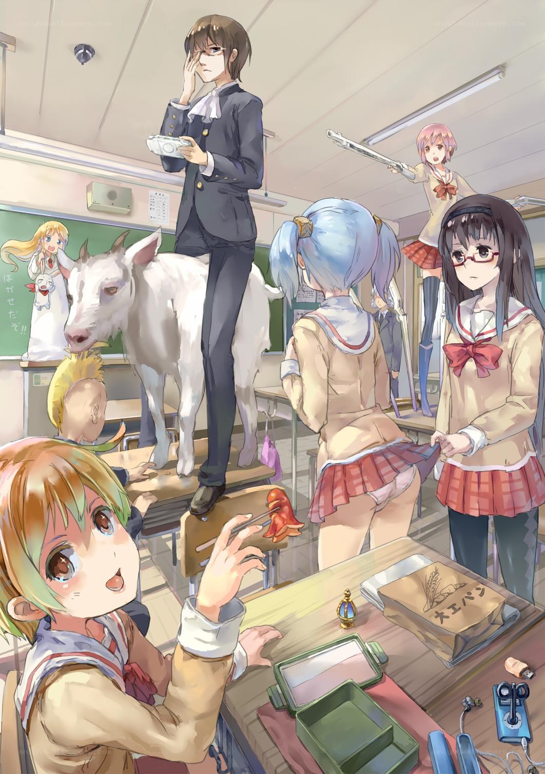 Classroom chaos with goat