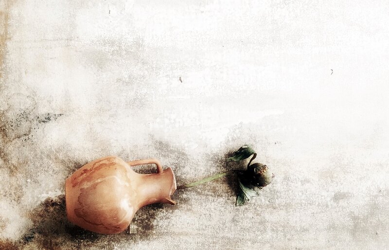 Clay Jug and Wilted Flower