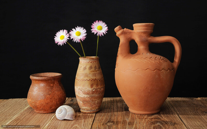 Clay Pots with Flowers — Brown, Serene
