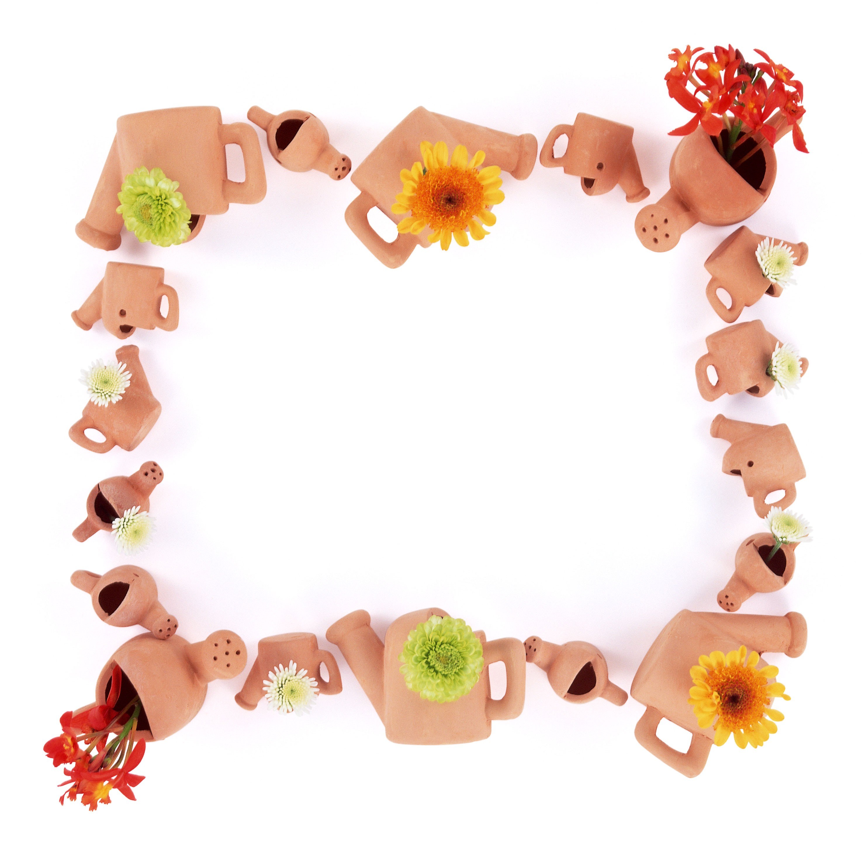 clay pots with flowers in frame