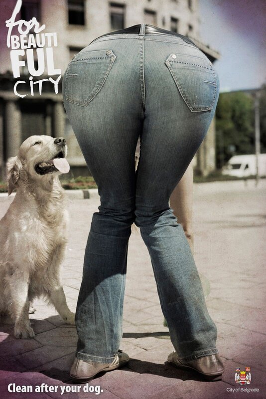 Clean after your dog