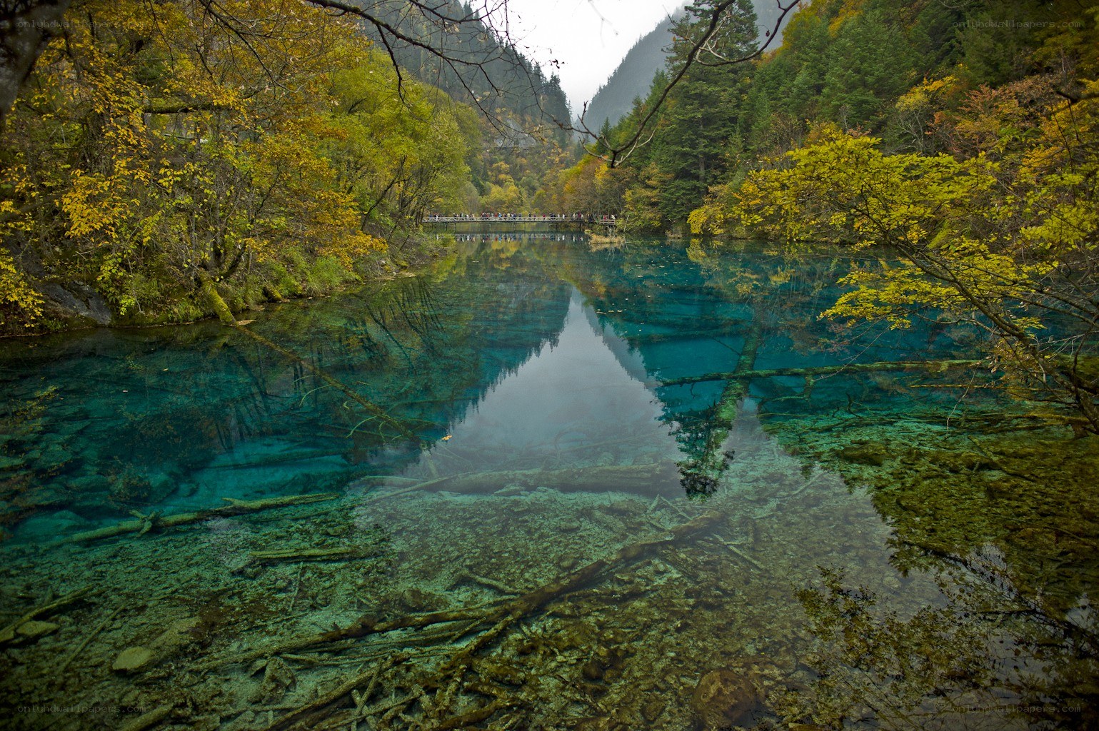 Clear blue lake in forest