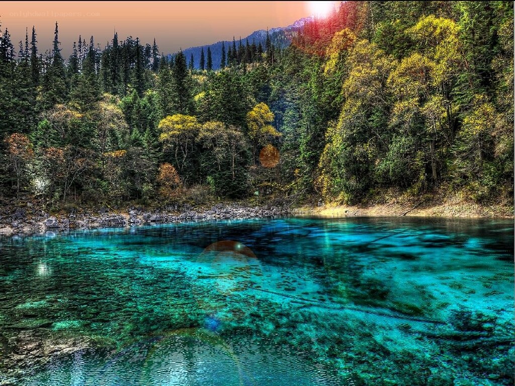 Clear blue lake in forest