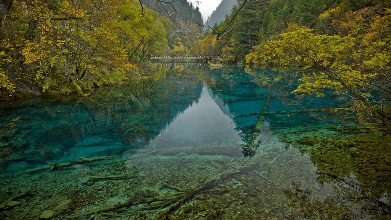Clear Blue Lake with Trees