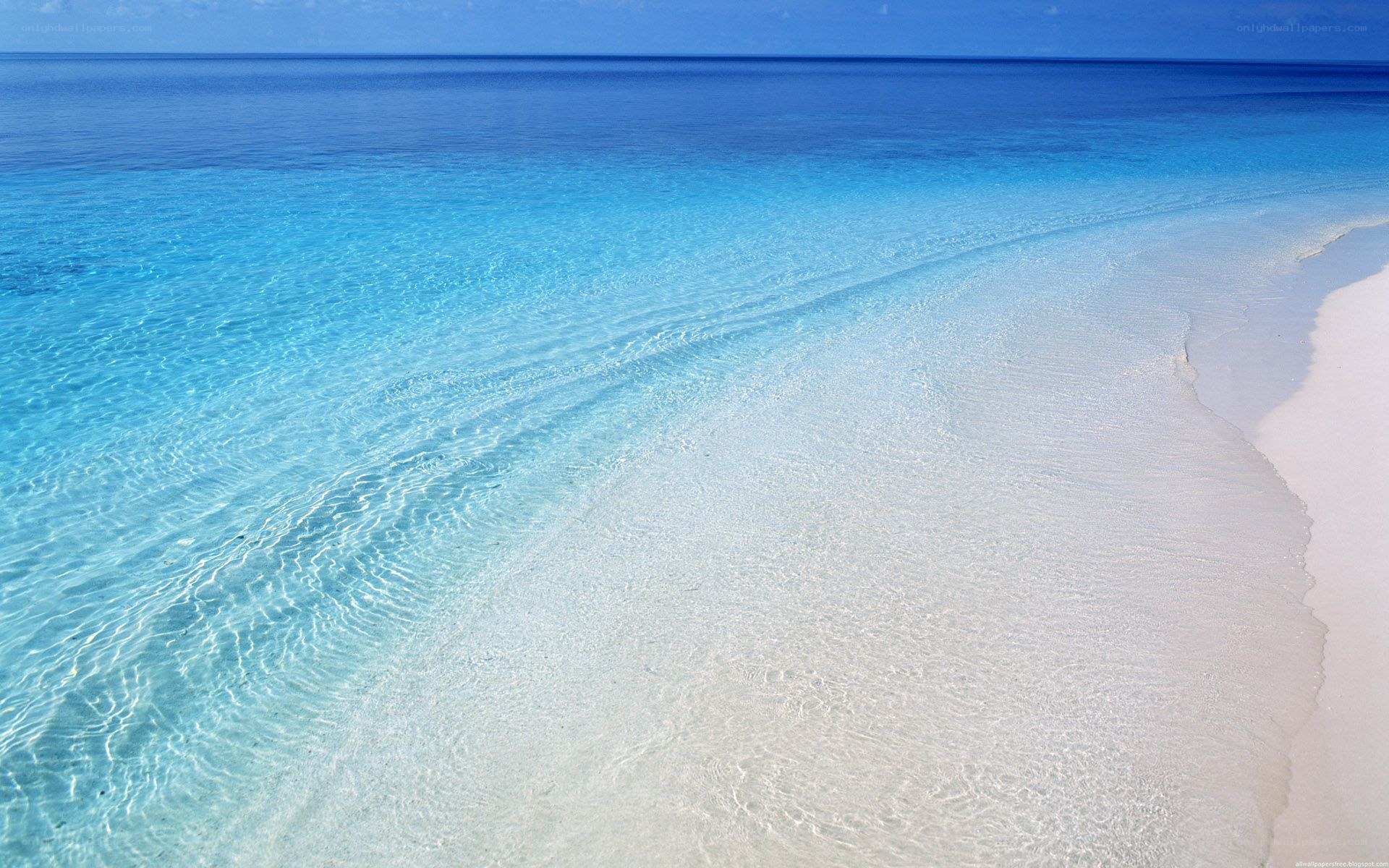 Clear blue ocean beach