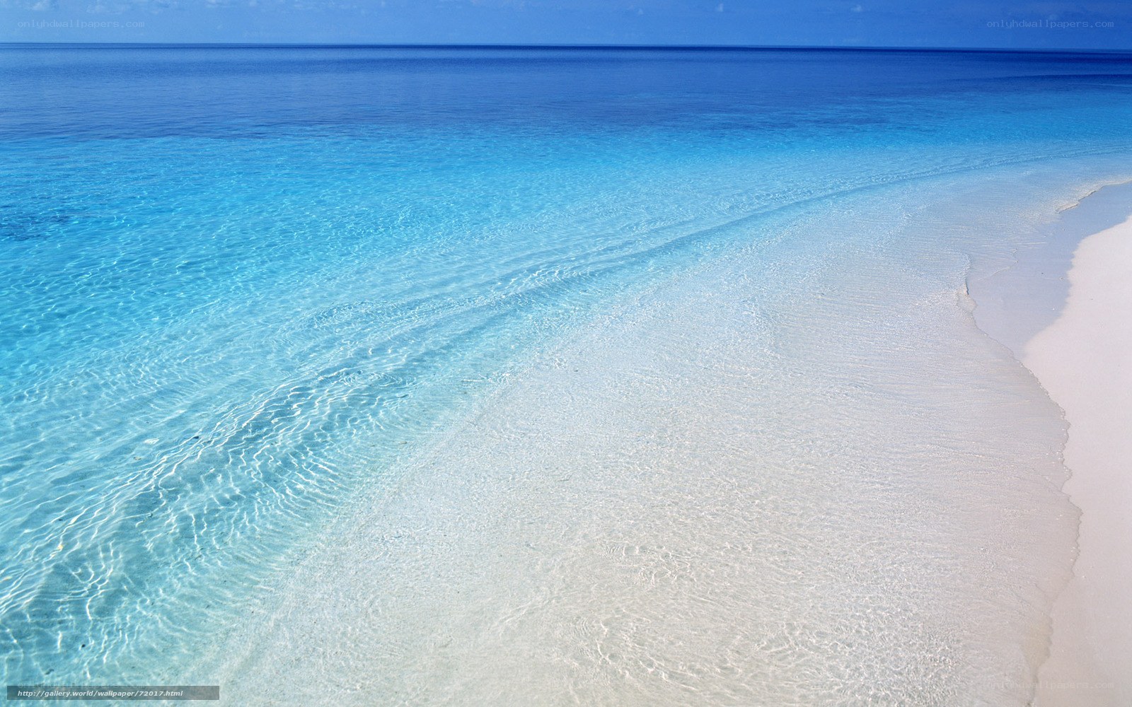 Clear blue ocean beach