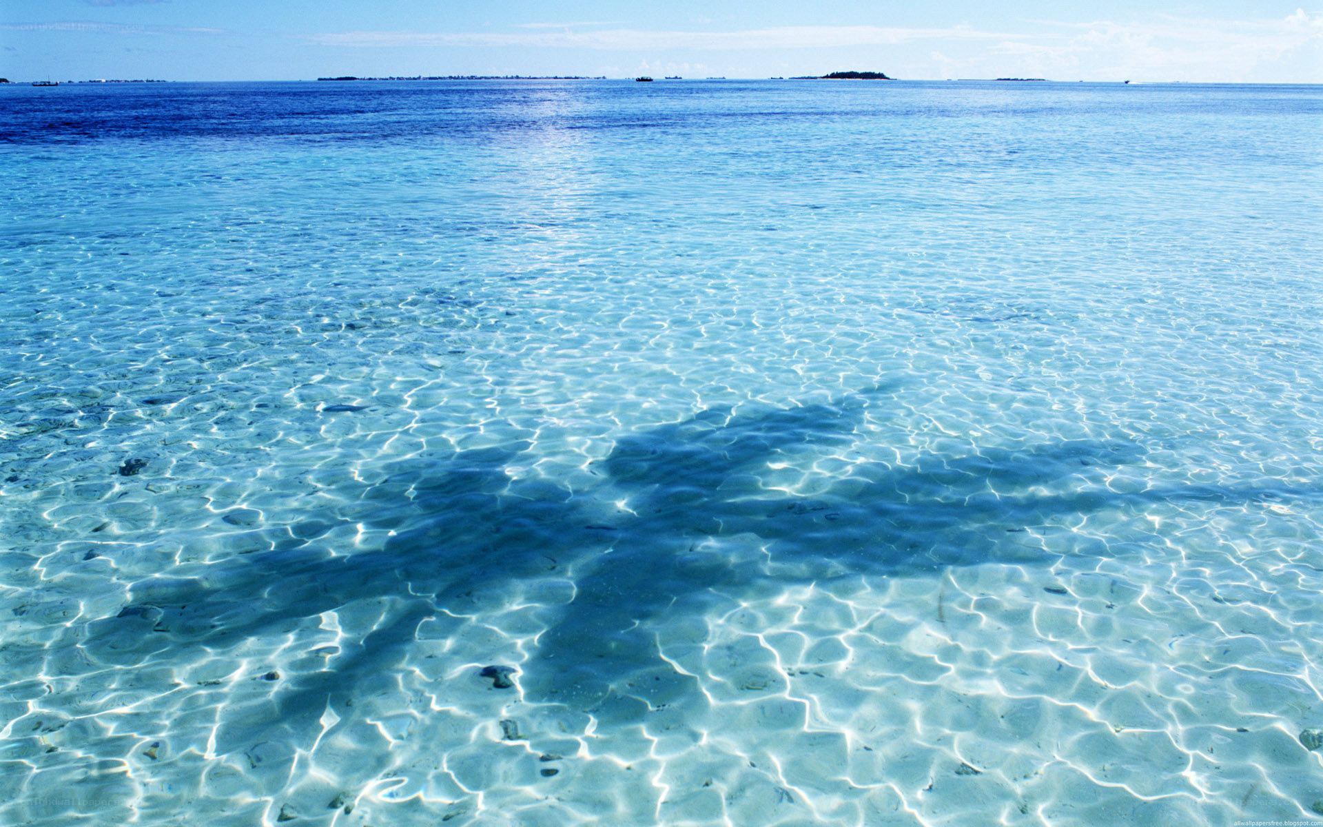 Clear blue ocean water