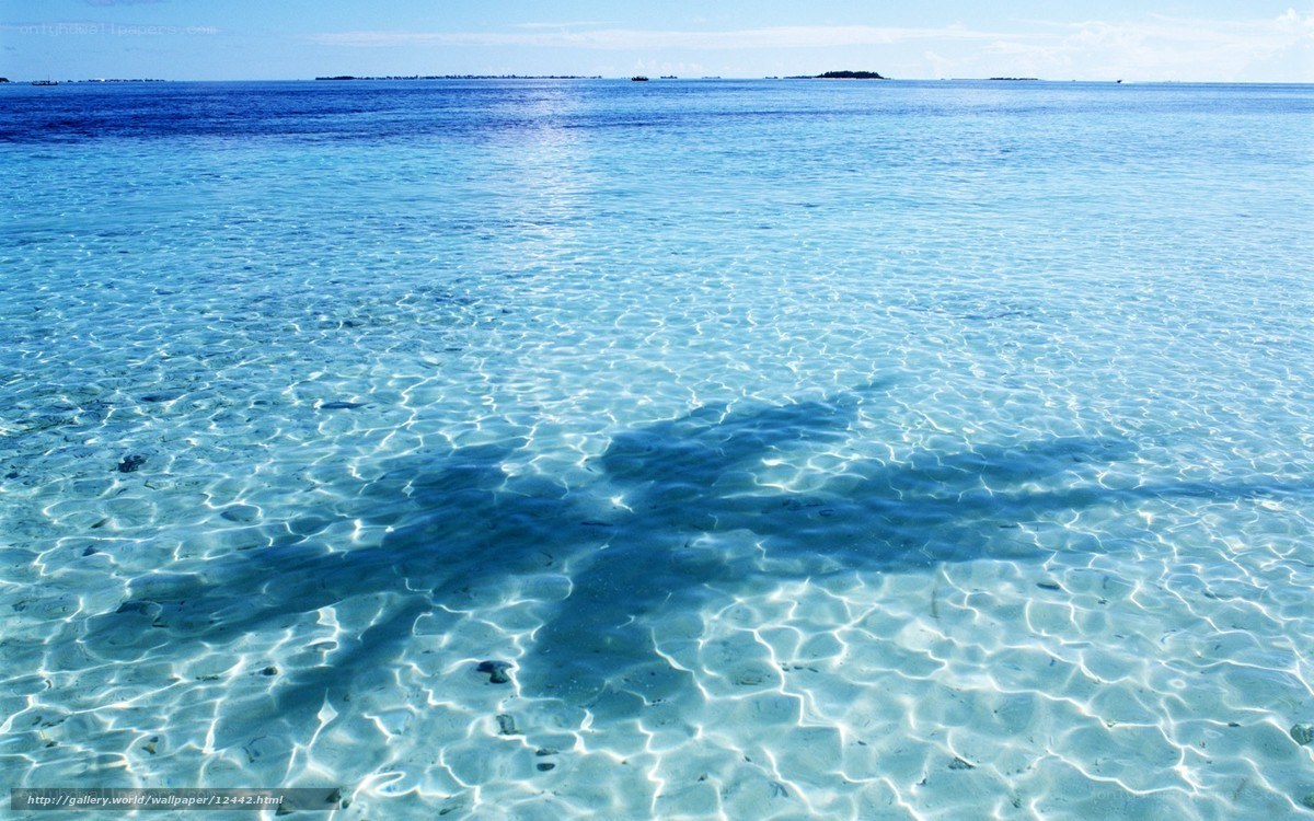 Clear blue ocean water