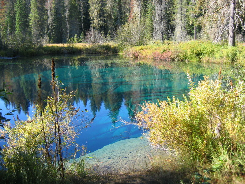 Clear blue pond in forest