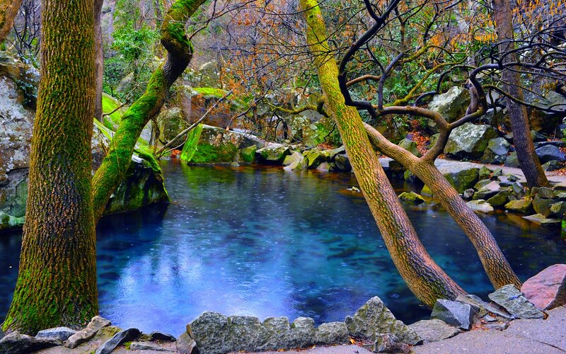 Clear Blue Pond in Forest — Serene