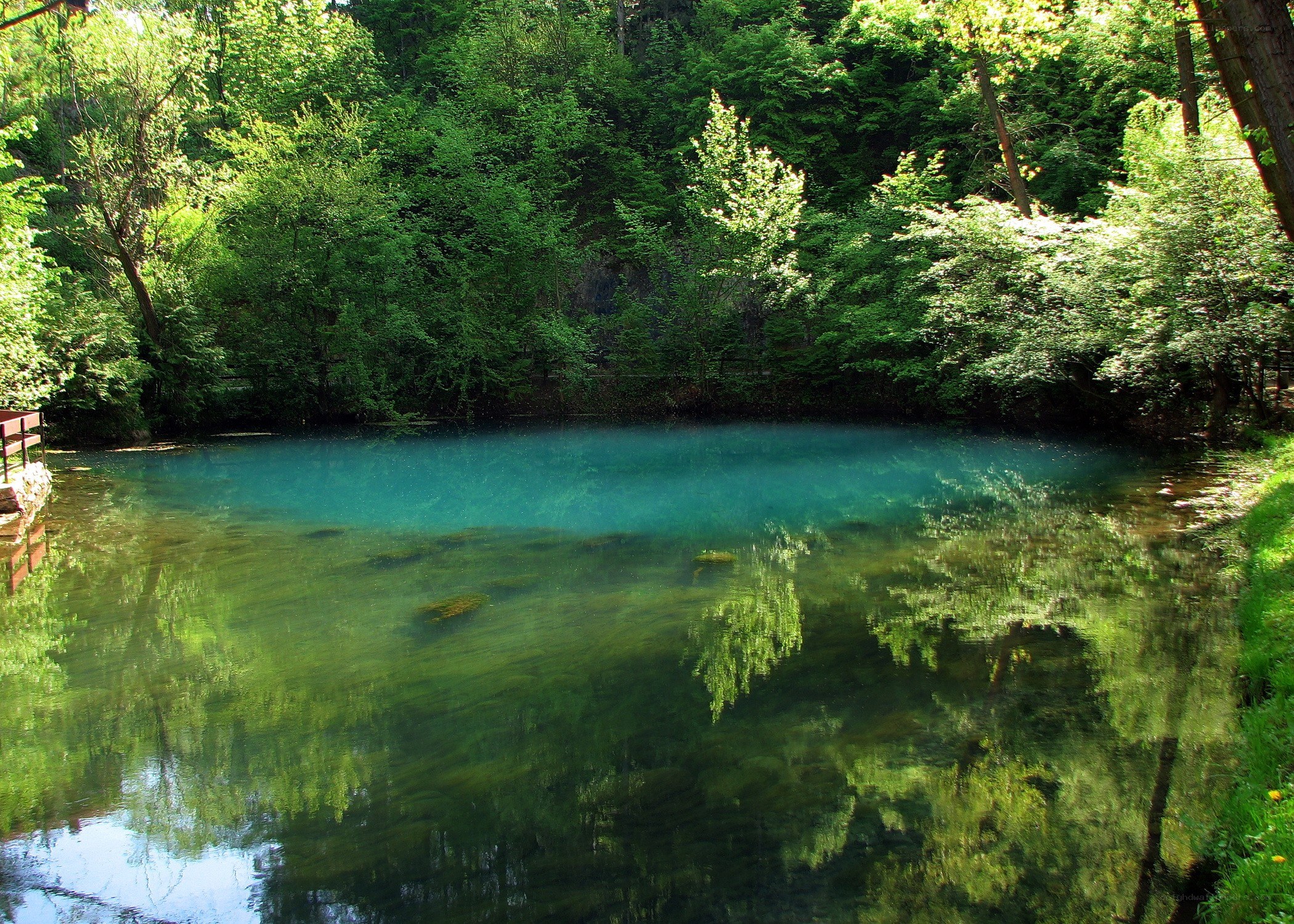 Clear blue pond in forest