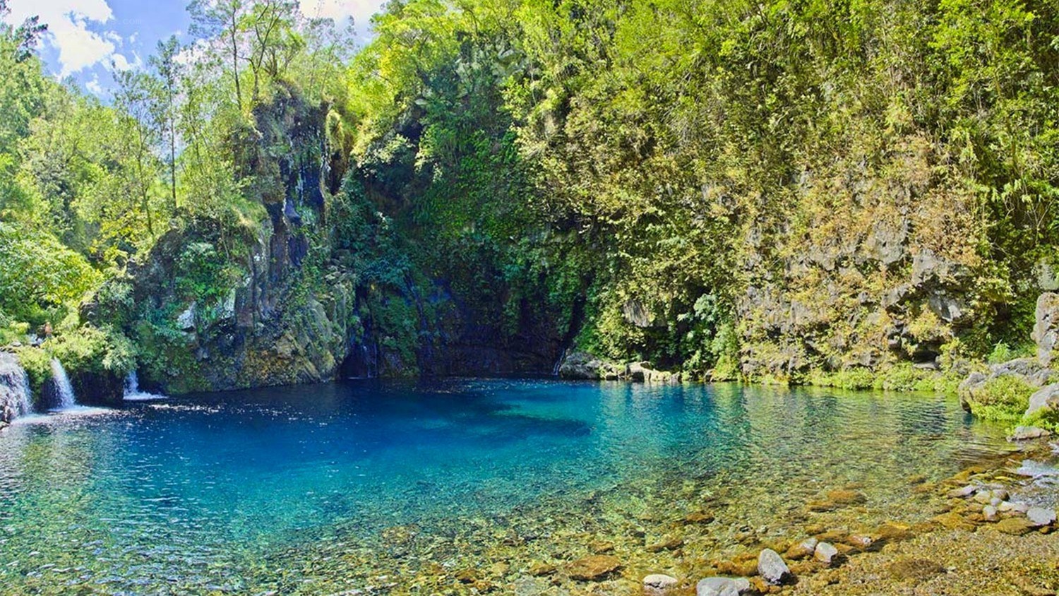 Clear blue pool in forest