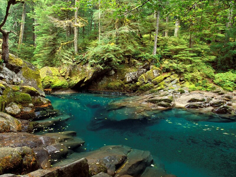 Clear Blue Pool in Forest — Serene, Afternoon, Photograph