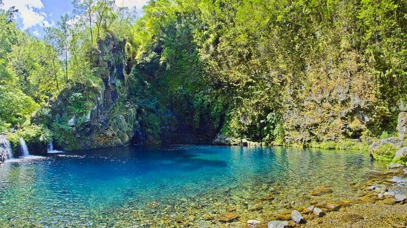 Clear Blue Pool in Forest — Serene, Afternoon, Photograph, Trees, Rocks