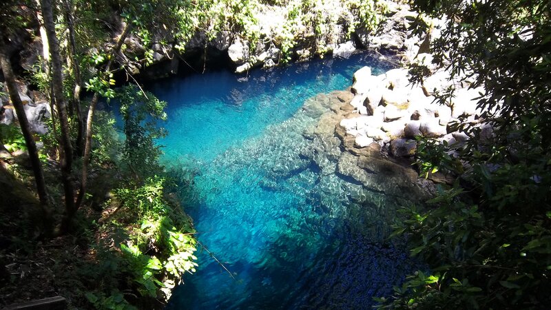 Clear blue pool in forest