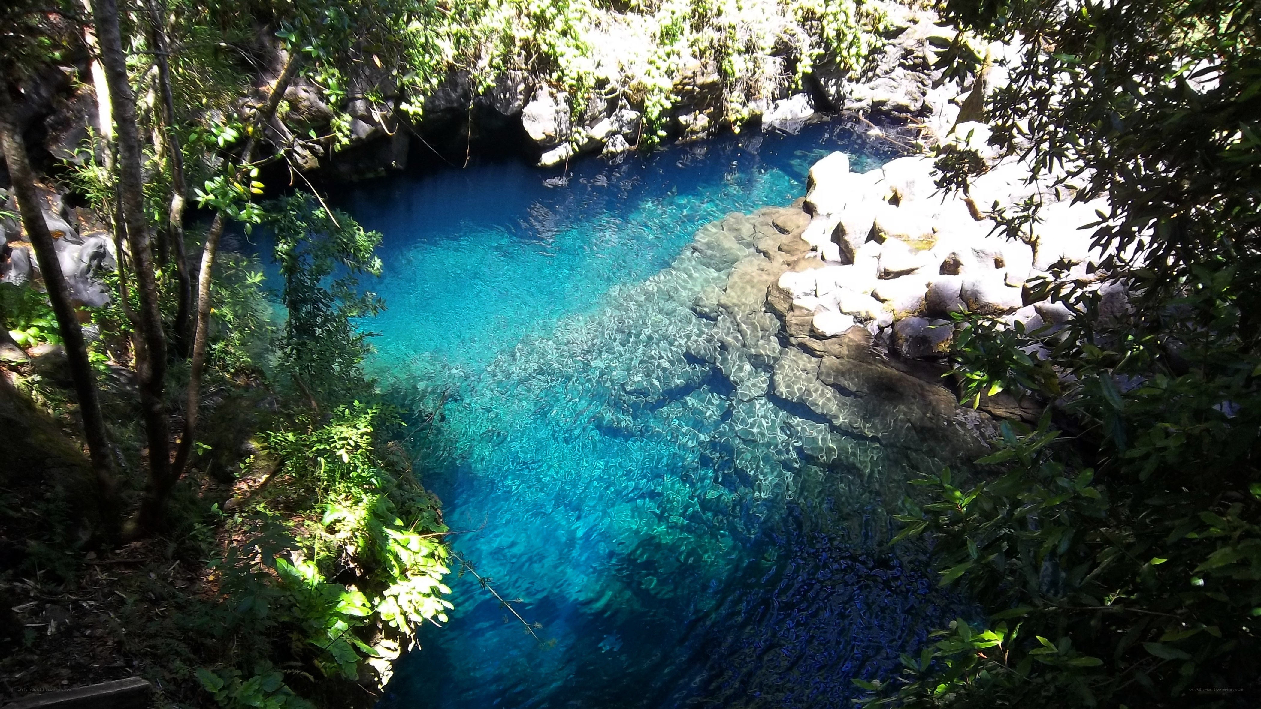 Clear blue pool in forest