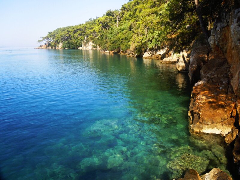 Clear blue sea and rocky shore
