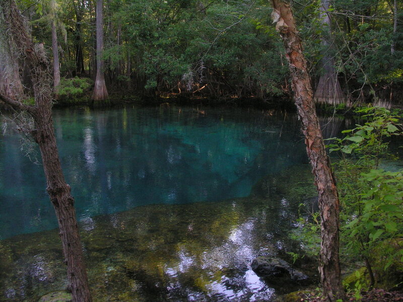 Clear blue spring in forest