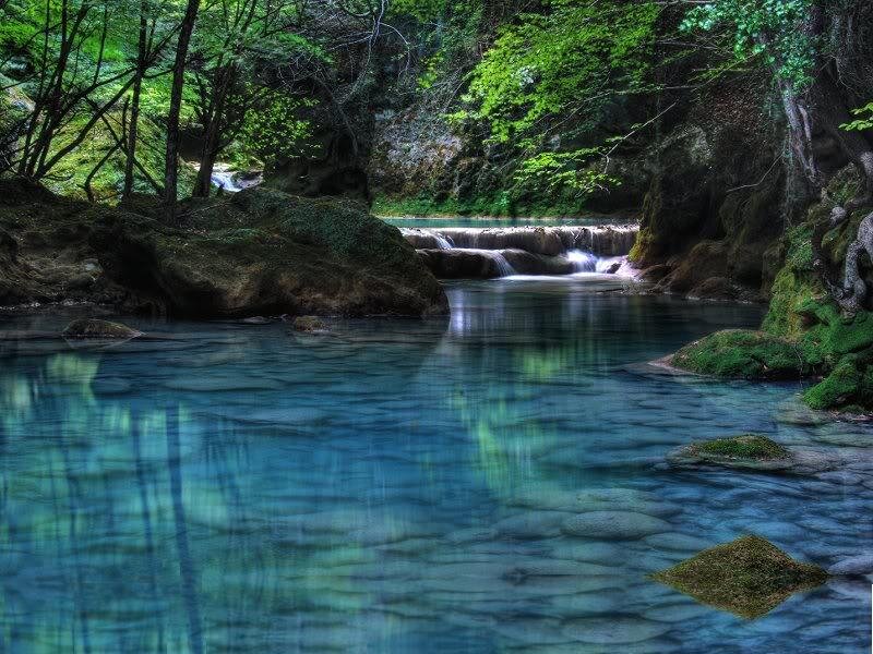 Clear Blue Stream in Forest