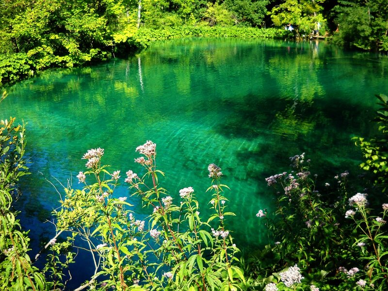 Clear green lake surrounded by trees