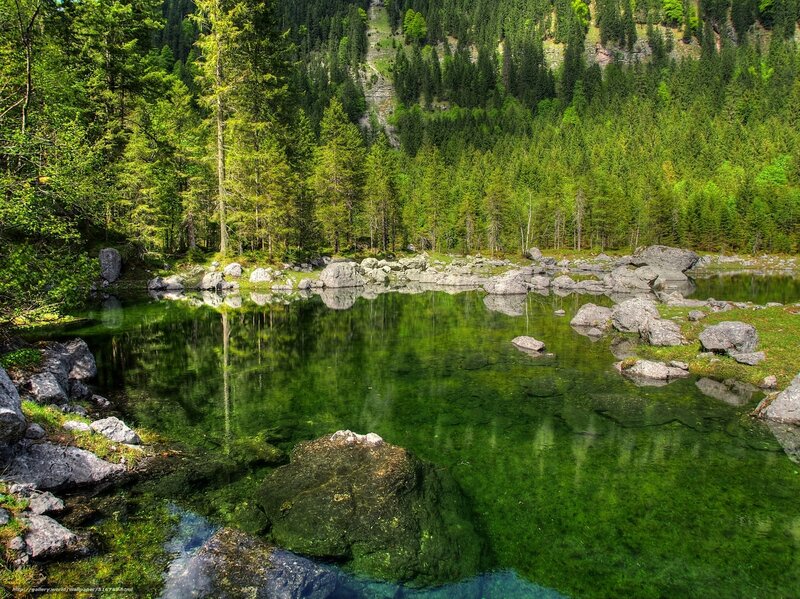 Clear Lake in Forest — Green, Serene, Afternoon, Photograph, Trees