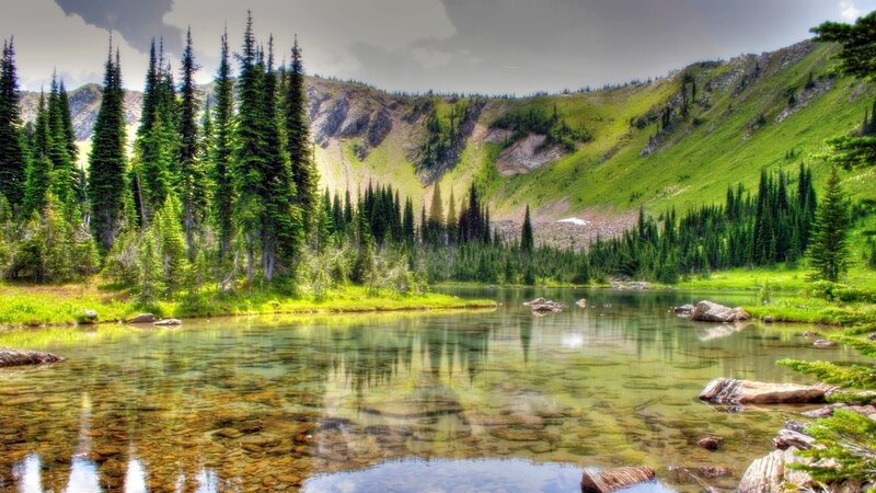 Clear Lake in Forest — Green, Serene, Afternoon