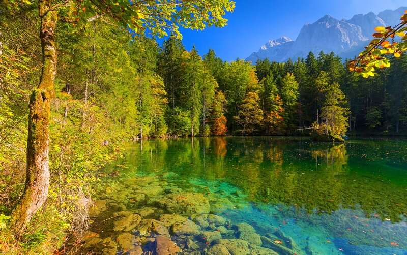 Clear Lake in Forest — Green, Serene, Autumn
