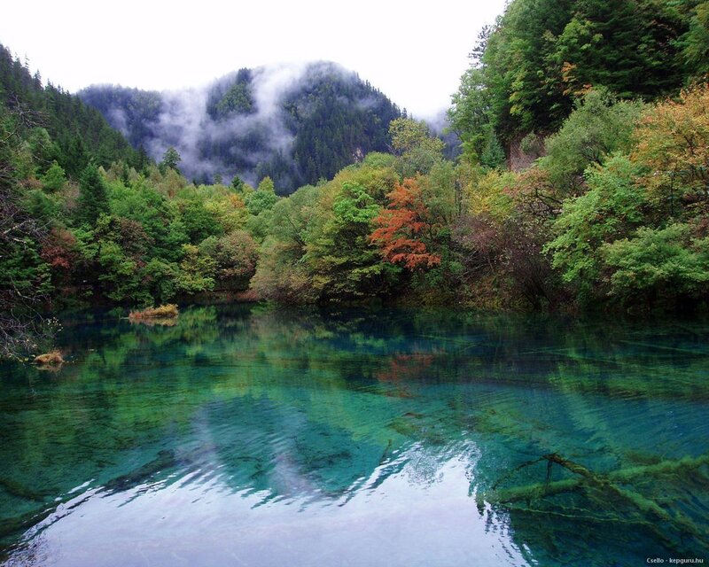 Clear Lake in Forest — Green, Serene
