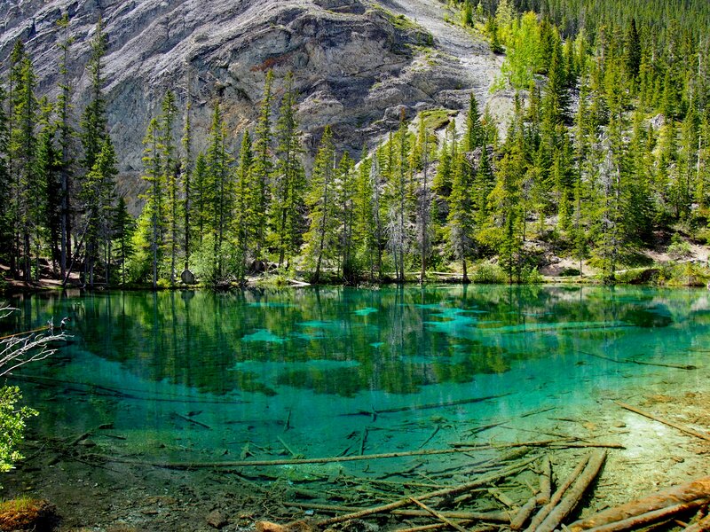 Clear Lake in Forest