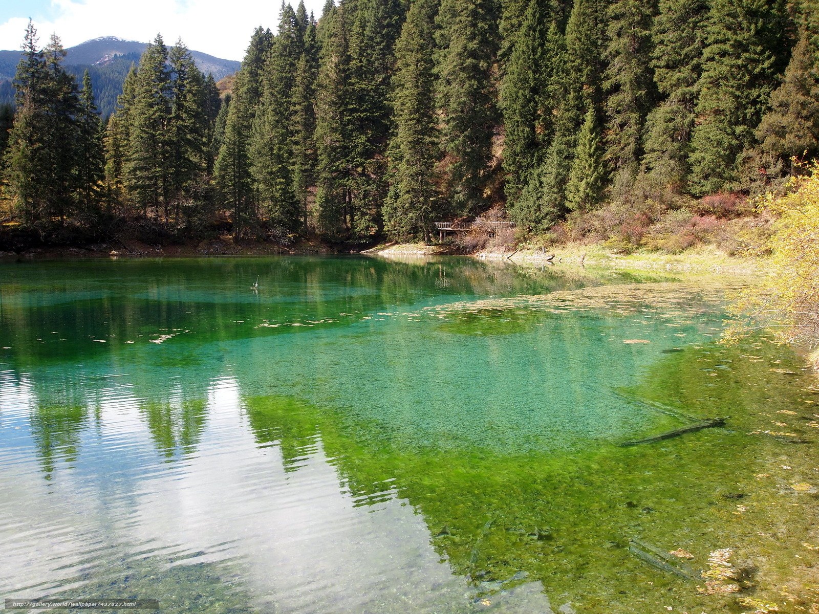 Clear lake in forested mountains