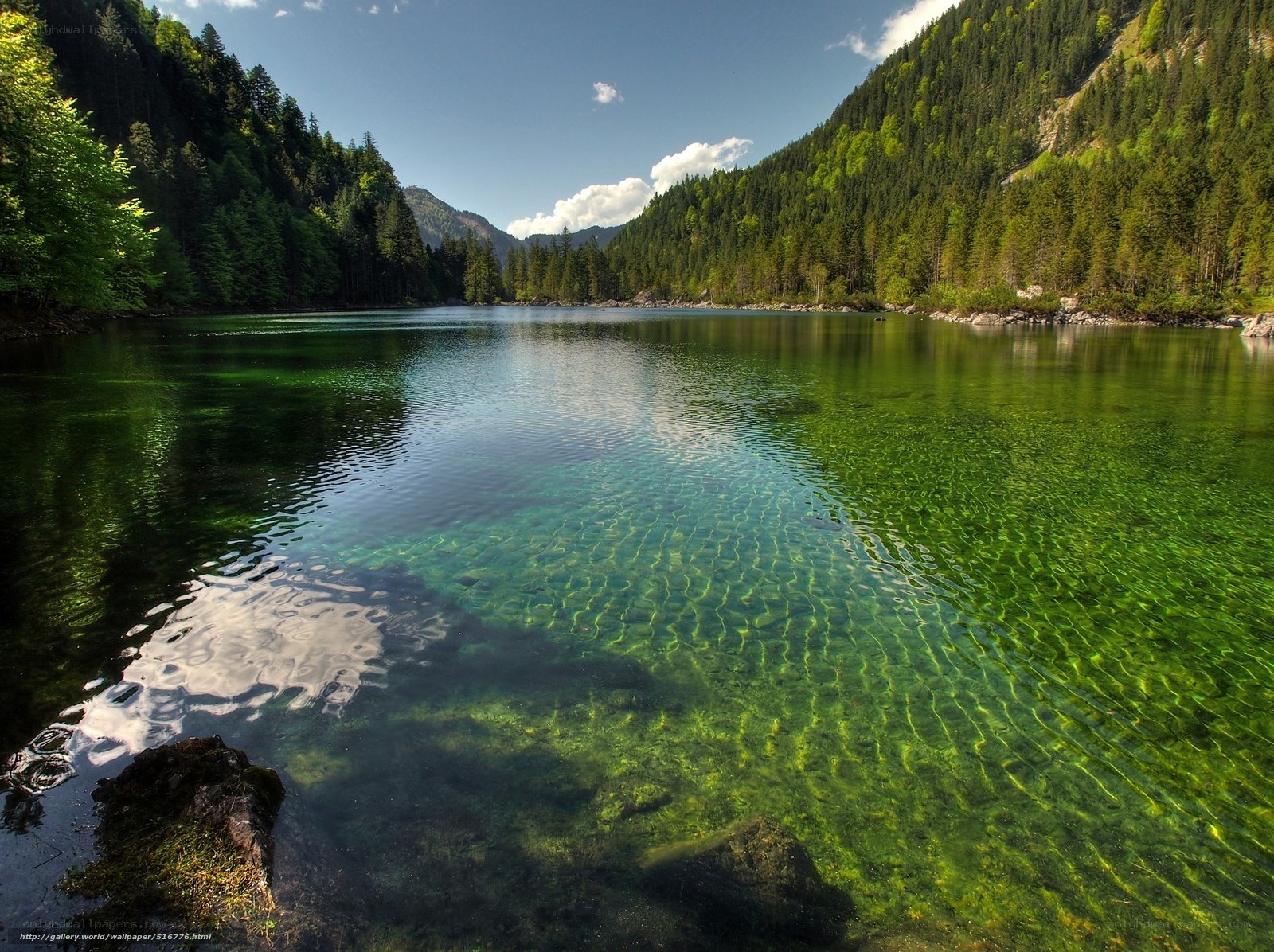 Clear lake in forested valley
