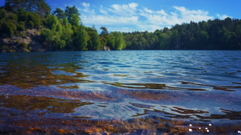 Clear Lake Water — Blue, Serene, Afternoon, Photograph, Trees, Sky