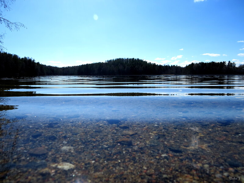 Clear Lake Water — Blue, Serene, Afternoon, Photograph, Trees
