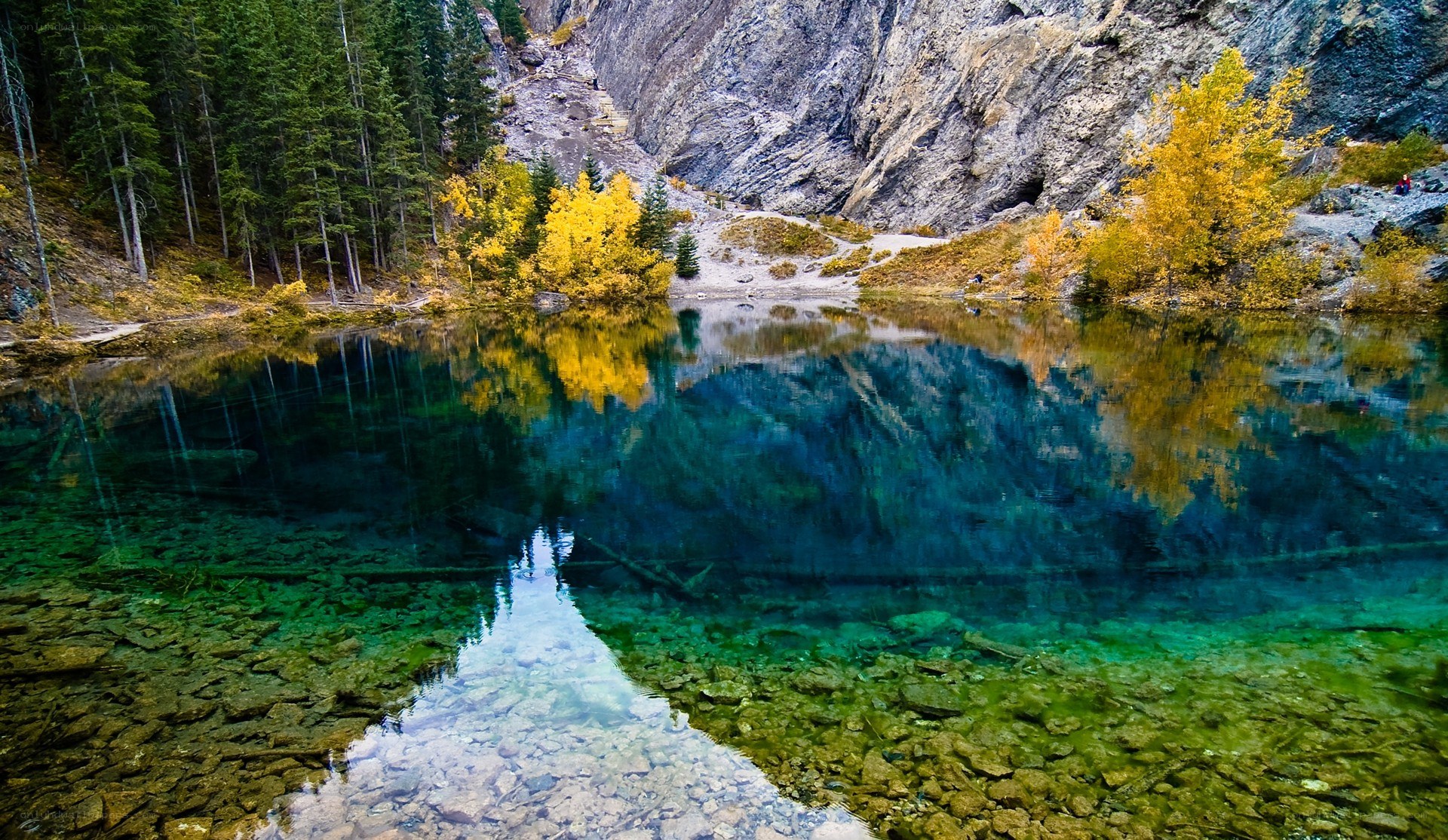 Clear lake with autumn trees