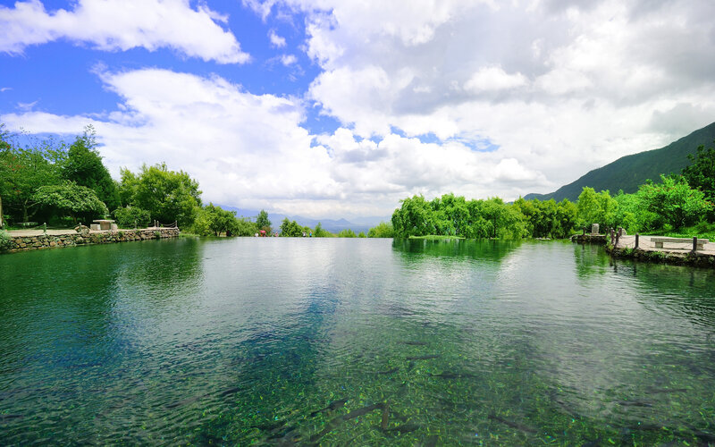 Clear Lake with Fish — Green