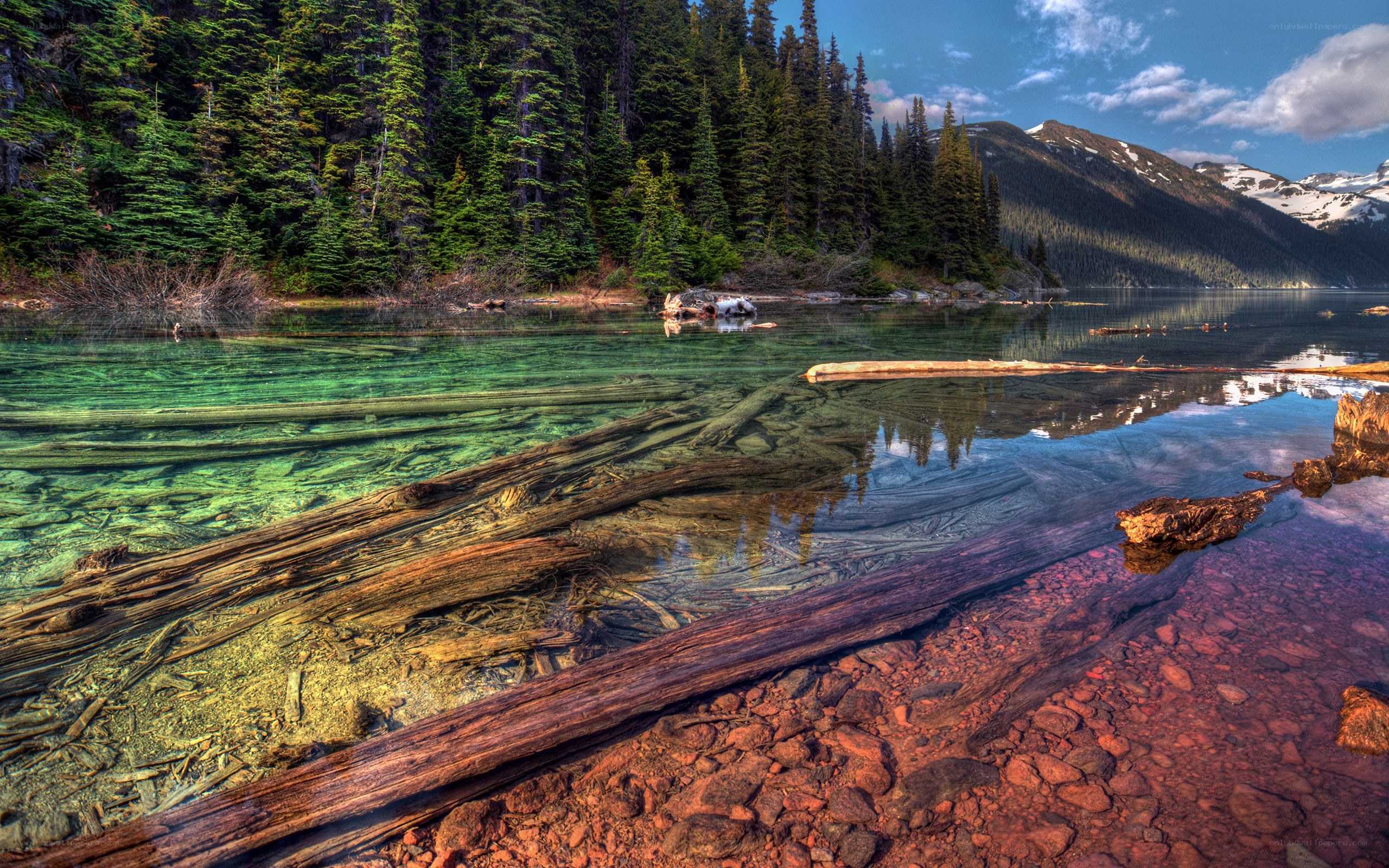 Clear lake with forest and mountains