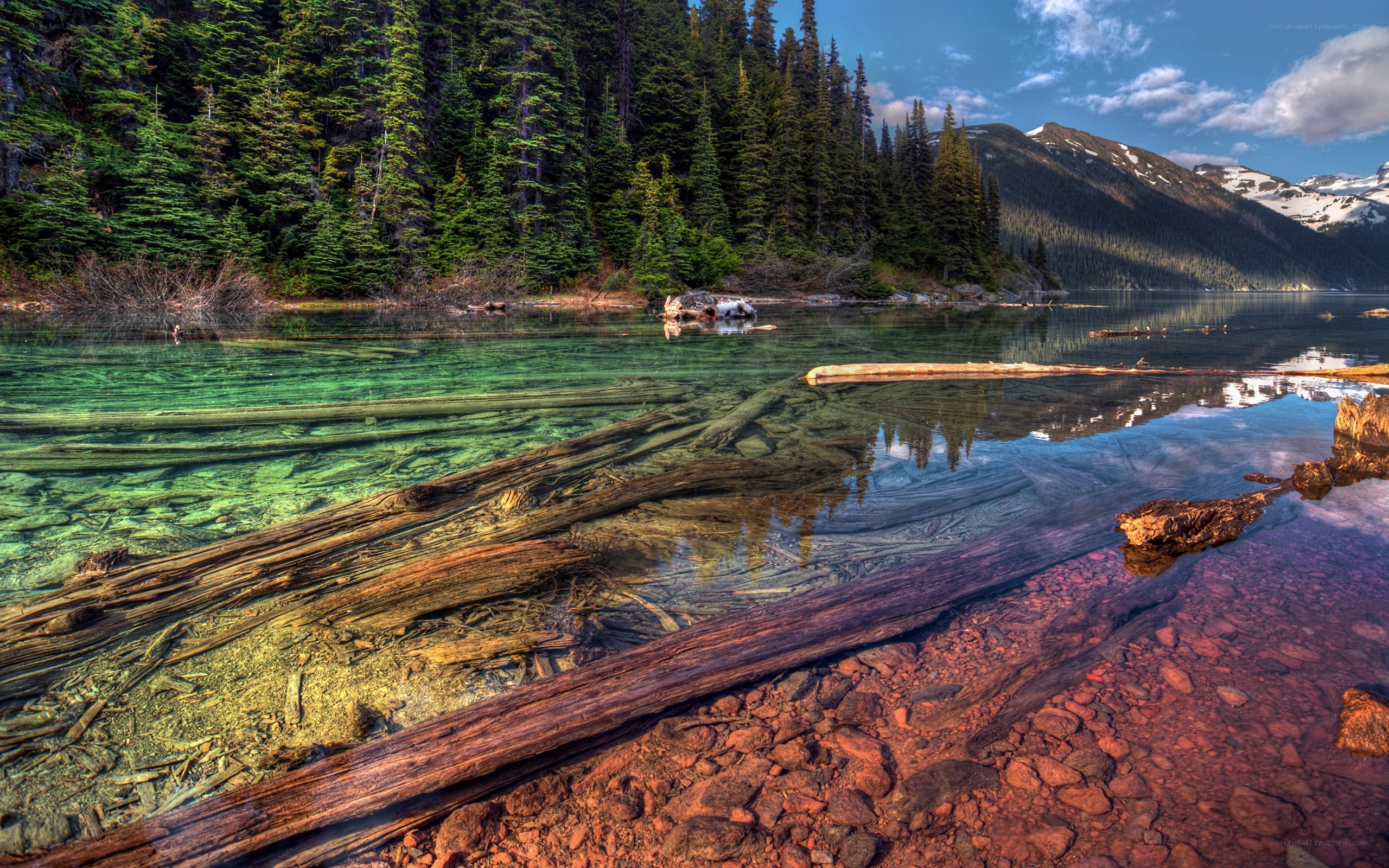 Clear lake with forest and mountains