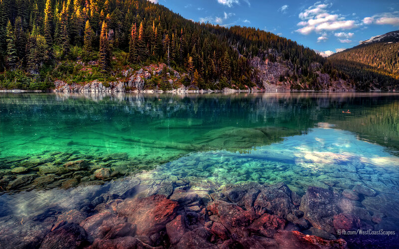 Clear Lake with Forest — Green, Serene, Afternoon