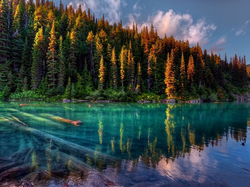 Clear Lake with Forest — Green, Serene, Sunset