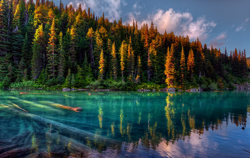 Clear Lake with Forest — Green, Serene