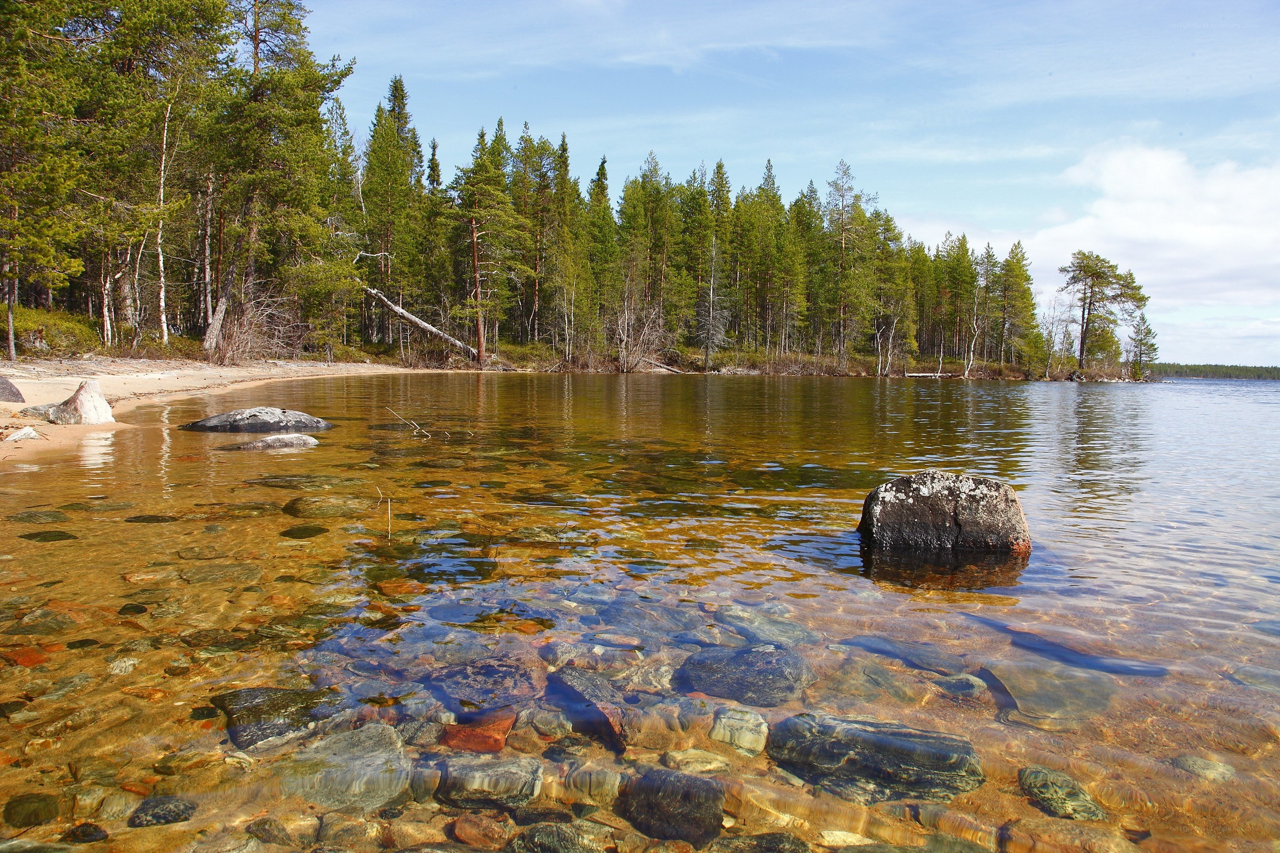 Clear lake with forest shore