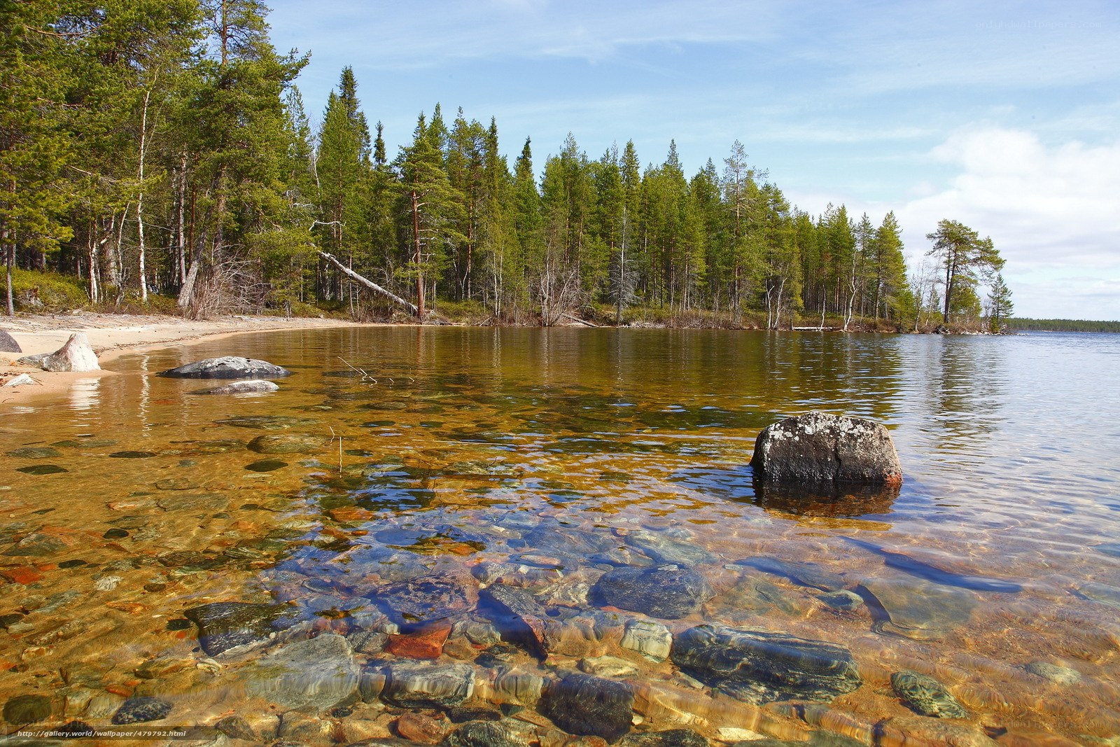 Clear lake with forest shore