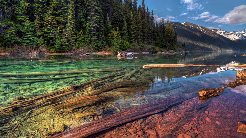 Clear Lake with Logs — Green