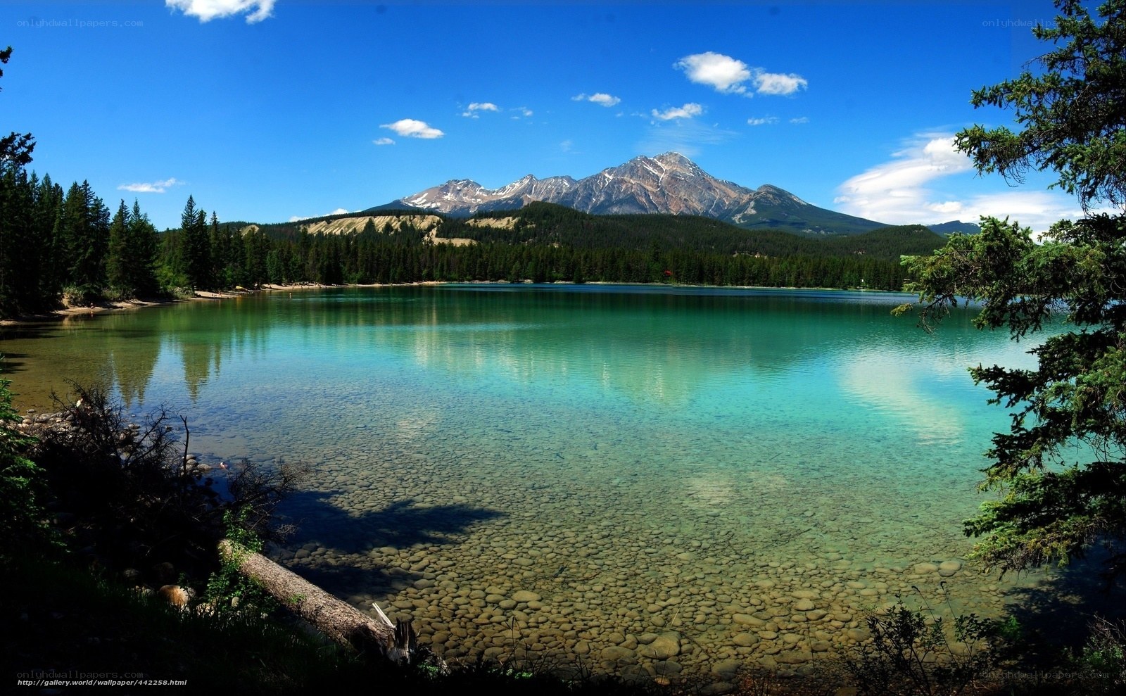 Clear lake with mountain view
