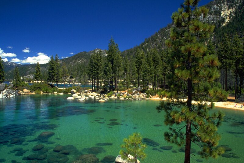 Clear lake with pine trees