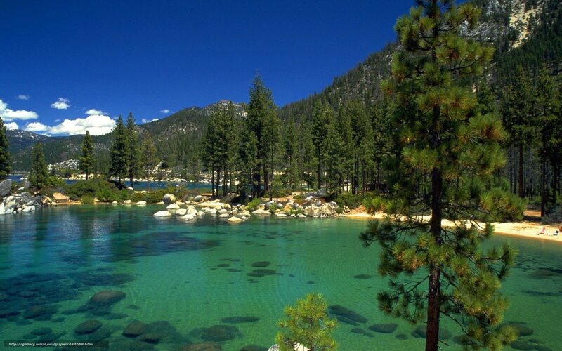 Clear Lake with Pine Trees — Blue, Serene, Afternoon