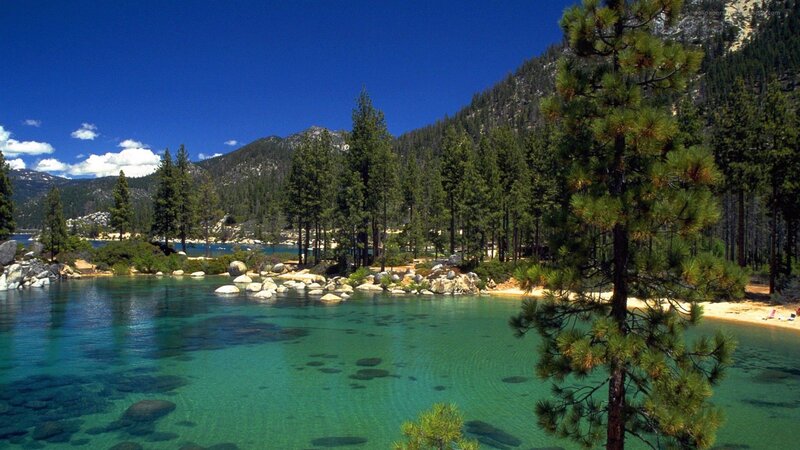 Clear Lake with Pine Trees — Blue, Serene