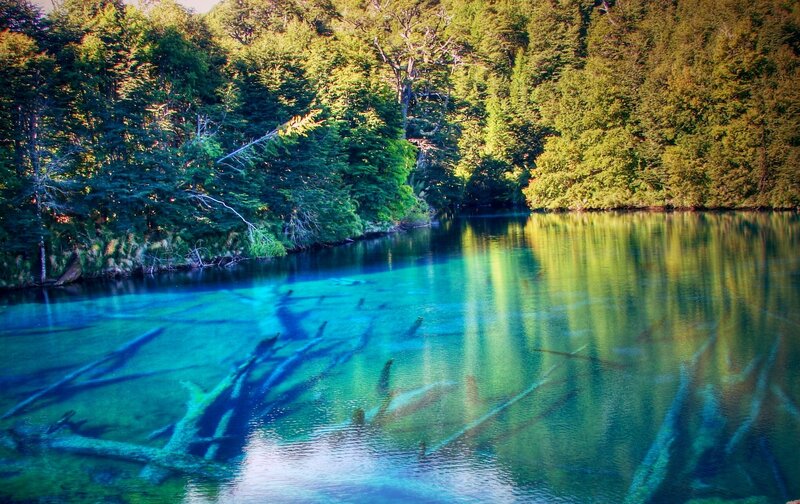 Clear Lake with Submerged Logs — Blue, Serene, Afternoon