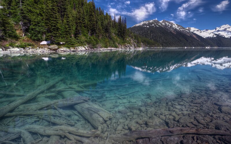 Clear Lake with Submerged Logs — Blue, Serene, Summer