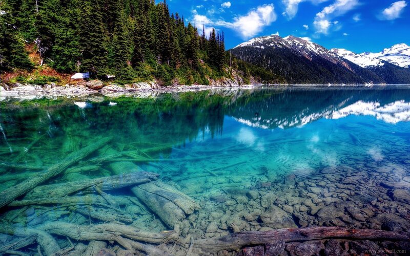 Clear Lake with Submerged Logs — Blue, Serene